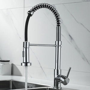 Manico singolo tirare verso il basso in acciaio inox rubinetto lavello da cucina <span class=keywords><strong>Design</strong></span> moderno Mixer con spruzzatore ceramica nucleo valvola - Product Image 1