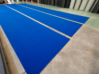 Tapete de Espuma Adhesiva de Alta Calidad QT MAT, Tapete Enrollable de 42 pies x 6 pies para Cheerleading