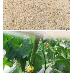 Éponges exfoliantes en loofah personnalisées avec logo, en tissu éponge, <span class=keywords><strong>gants</strong></span> exfoliants pour le corps, hommes et femmes, loofah naturel - Product Image 4