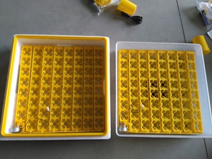 ZH-63 Tự Động <span class=keywords><strong>Mini</strong></span> 63 Trứng Lò Ấp Trứng Xuất Tại Trung Quốc Cho Bán - Product Image 5