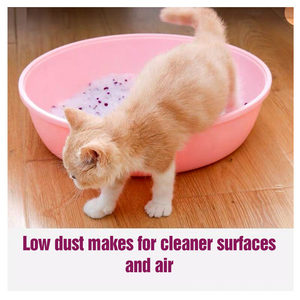 Premium Fresh Easy Clean Cat Litter Sand Factory Venta a granel al por mayor <span class=keywords><strong>de</strong></span> silicato sostenible OEM Crystal Gel <span class=keywords><strong>de</strong></span> sílice al por mayor a granel - Product Image 6