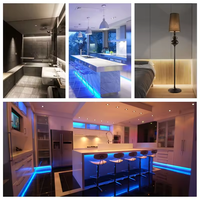 ESann MINI Tuya APP WiFi IR Music Remote 24 touches Contrôleur de variateur de lumière LED pour bande lumineuse 5050 RGB/RGBW