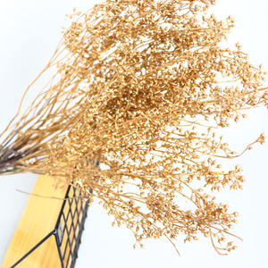 סדרת זהב פרי זומבי פרי אקליפטוס צבוע זהוב פירות דוחן שירלי פופי משומר פרחי זהב מיובשים - Product Image 3