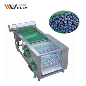 Professional Designed Blueberry Grading Machine/ Fresh Blueberry Sorting Machine/ Bilberry Sorter Machine