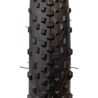 XPS 18-2.125 Butil Kauçuk BMX Bisiklet İç Lastiği