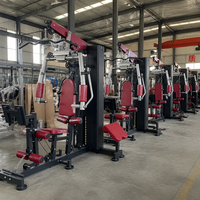 PINJIAN Appareil d'Entraînement Complet de Force, Équipement de Gym Multifonctionnel d'Intérieur, Poste Unique