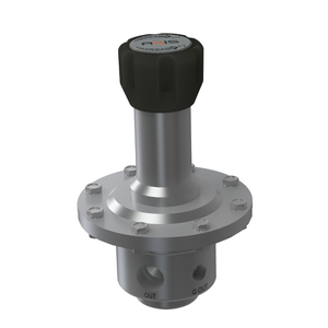 Régulateur industriel Axis PRG5 SS 316, contrôle réglable haute température, garantie 1 an, pour gaz et air analytique - Product Image 4