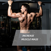Bubuk Protein kustom-campuran Whey atau Vegan yang dipersonalisasi | Pilih rasa & makro Anda | Pemulihan Gym & pertumbuhan otot
