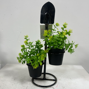Decorazione della pala della pianta di simulazione della foglia della menta di H35 CM per le decorazioni interne ed esterne di natale o di festa di nozze