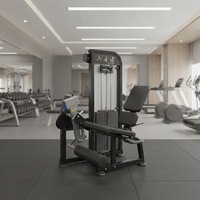 Machine de musculation professionnelle en acier à charge par poulie pour usage commercial, pour la musculation, exercices de curl et d'extension assis des jambes, 130 kg, prix usine