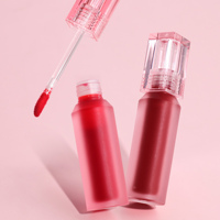Gloss à lèvres mat et brillant végétalien GMP 6 couleurs pour maquillage, fournisseurs de gloss à lèvres naturel, biologique, rouge, brun, marque privée