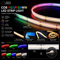 Bande LED COB personnalisée OEM, haute densité, flexible, monochrome, RGB adressable, IP20, IP65