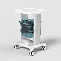 Chariot de beauté laser avec logo gratuit, chariots de salon de beauté, chariots de spa, chariots de beauté pour esthéticiennes, chariots pour machine laser IPL