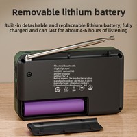 Radio Saku FM Pengisian Daya USB-C Penerimaan Luar Biasa Speaker Jernih dan Jack Headphone Layar LCD Radio FM untuk Berjalan/Berlari/Gym