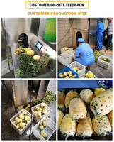 Automatische grote capaciteit sinaasappel schilmachine voor groenten en fruit, grapefruit, cantaloupe, pompoen, aardappel, ananas.