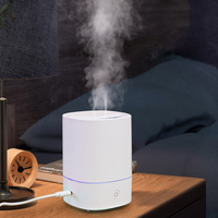 Diffuseur d'aromathérapie portable à ultrasons, mini humidificateur électrique USB, purificateur d'air, garantie 1 an pour usage domestique