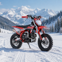 Moto Tout-Terrain 60cc TURRUT Roue 10 Pouces Meilleur Démarrage Électrique Enfants 6-12 Ans Certifié CE