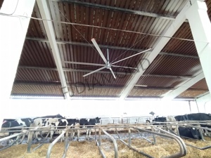 Ventilador de Techo HVLS Super Grande de 3.7m con Aspas de Aleación de Aluminio y Magnesio para Ventilación de Almacenes, Restaurantes y Plantas de Manufactura - Product Image 3