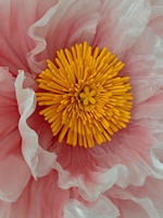 Tige de pivoine artificielle sur mesure, couleurs variées, fleur en voile de luxe, branche unique pour décoration haut de gamme de fêtes et événements