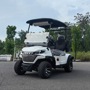 Carrito de Golf Eléctrico de Lujo de 2 Plazas, 5KW 72V, para Campos de Golf, con Batería de Litio-Hierro, Venta al Por Mayor - Product Image 5