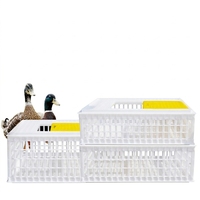 Nouvelle cage de transport pour volailles YIMUDA en polyéthylène haute densité blanc, longue durée de vie, taille personnalisable, légère