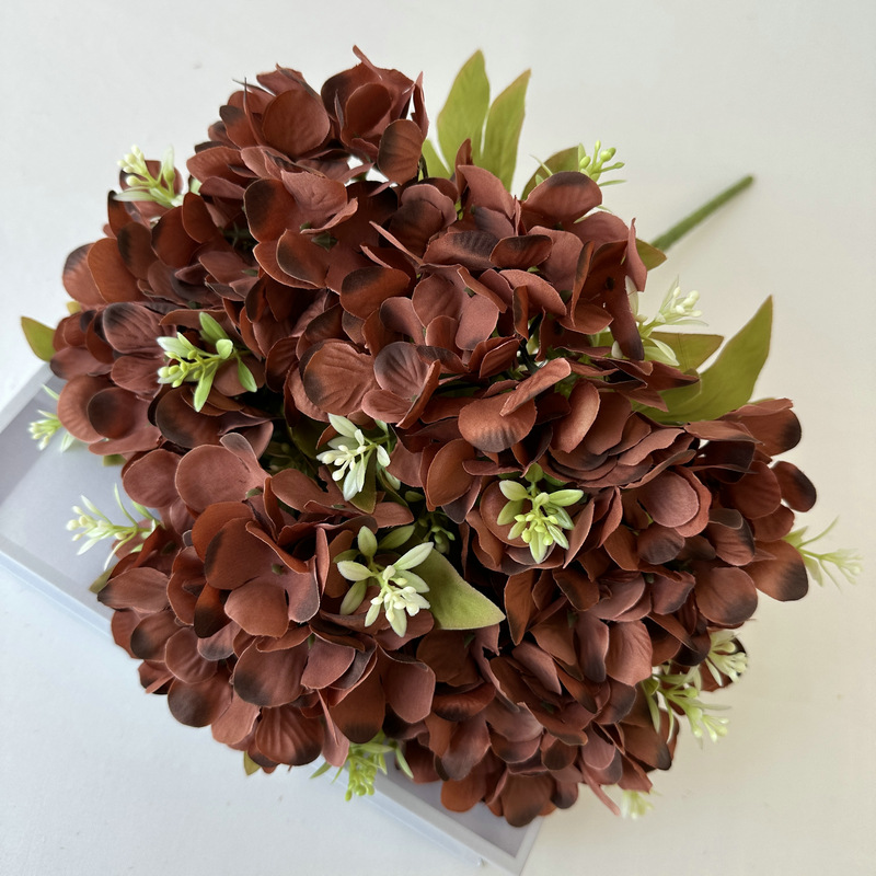 Brown2