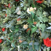 SPR Vente en gros de décorations de mariage personnalisées avec des feuilles de plantes vertes, toile de fond en rose, fleurs artificielles en soie, mur de fleurs décoratif