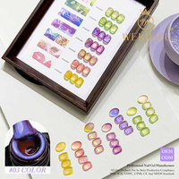 Ensemble de gels pour les yeux de chat avec logo personnalisé Coréen de couleur néon Corbeille de fruits Gel pour les yeux de chat