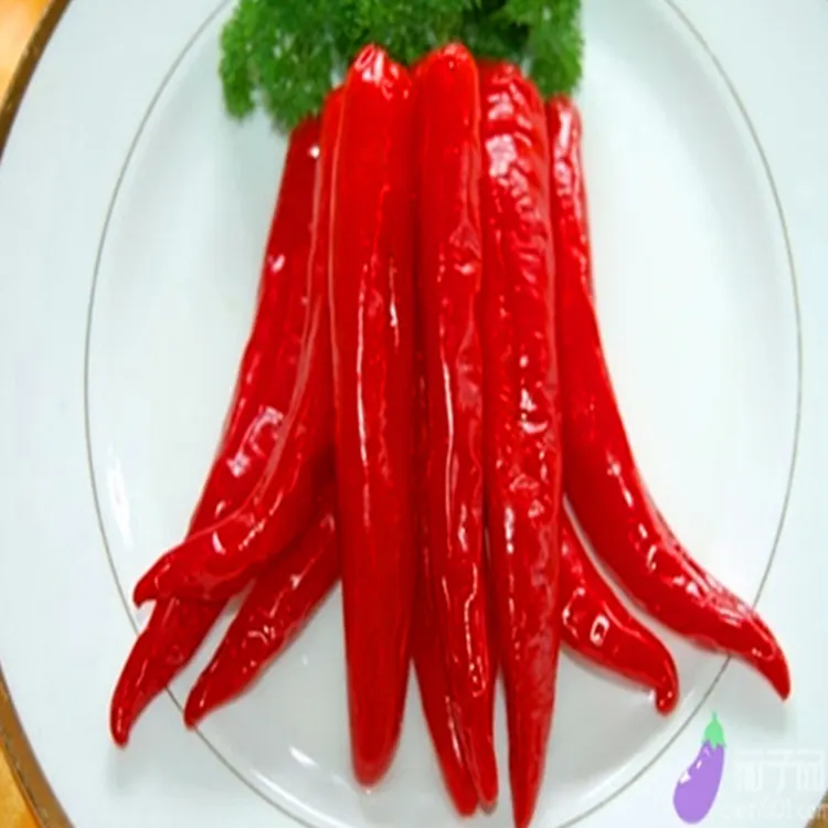 hot pepper hot spicy Ghost chili pepper Erjingtiao chili