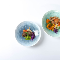 Bol en céramique à large ouverture dégradé, moderne, rond, profond, écologique, compatible micro-ondes, pour salades de fruits et ramen