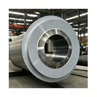 Séchoir rotatif semi-circulaire pour la séchage de la poudre de coke bleu – Machine de traitement des matériaux carboneux