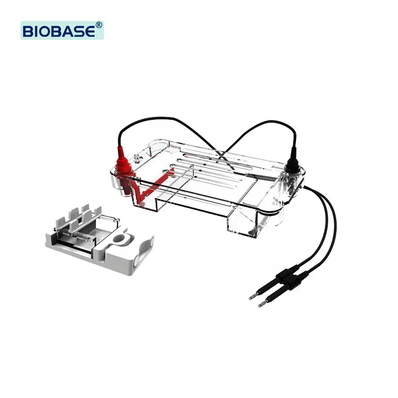 BIOBASE çin yatay elektroforez tankı sökülebilir elektrotlar ile laboratuvar elektroforez tankı