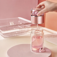 Bouteille Isotherme Transparente à Double Paroi en Verre avec Infuseur à Thé 500ml Portable Résistante à la Chaleur Anti-Fuite avec Bouchon à Vis pour l'Extérieur
