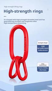 8トン4脚G80マンガン鋼チェーン16mm径リフティングアセンブリ二重脚チェーン - Product Image 3