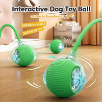 Balle interactive pour chat, jouet auto-entretenant pour chatons, accessoire pour animaux de compagnie, pour l'exercice intérieur, le soulagement de l'ennui et le plaisir quotidien