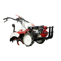 Offre Spéciale : Motoculteur à Moteur Diesel 9 CV du Fournisseur Chinois, Rotavator pour l'Agriculture, le Jardin et l'Exploitation Agricole avec Divers Accessoires