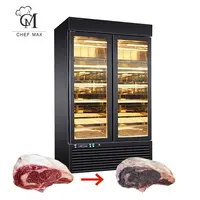 Chefmax Industriële Vlees Vriezer Koelkast Koelkast Droog Veroudering Kast Machine
