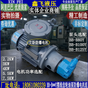 Unidad de Motor de Bomba de Engranajes a Prueba de Explosiones XIN FEI BB-B, Horizontal y Vertical, para Lubricación de Máquinas Herramienta - Product Image 2
