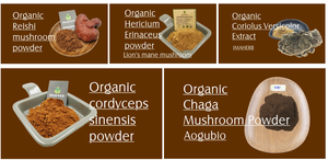 Aogubio organik <span class=keywords><strong>Pleurotus</strong></span> eryngii özü polisakkarit 25% <span class=keywords><strong>Pleurotus</strong></span> eryngii mantar özü tozu - Product Image 5