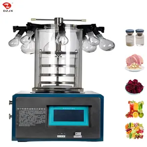 DZJX Lyophilizer Vaccum Lab Vacuum Freeze Dryer Aelab Small Freezer Dryer Sea Cucumber Drying Machine