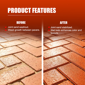 Scellant pour pavés effet mouillé, stabilisateur de sable, résistant aux UV, rehausseur de couleur, protecteur pénétrant pour allées <span class=keywords><strong>et</strong></span> patios WB5000 - Product Image 3