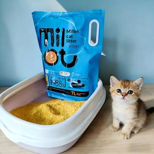<span class=keywords><strong>Arena</strong></span> para Gatos de Mijo de Aglutinación Rápida Ecológica, Suministro Directo de Fábrica - Product Image 2