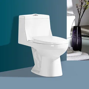 Prezzo all'ingrosso turco sanitari toilette comò tipo orientale 1 pz armadio acqua Set wc in ceramica ciotola