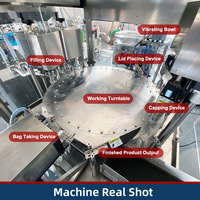 Machine de remplissage et de capsulage automatique pour pâte alimentaire avec petit bec verseur machine de remplissage humide doypack pour aliments pour animaux de compagnie