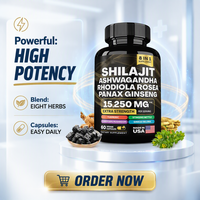 Capsules de Shilajit de l'Himalaya de qualité alimentaire, en gros, personnalisées, sous marque privée, en stock, fourniture OEM, améliorent le système immunitaire