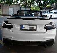 Luces Traseras Personalizadas Hechas a Mano para BMW Serie 2 M2 G87 Venom, Luces Traseras Modificadas Transparentes
