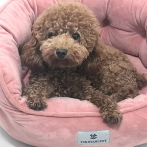 Cama de franela de felpa para perro, logo personalizado, círculo suave de terciopelo, redondo, súper suave, barata, Rosa - Product Image 5