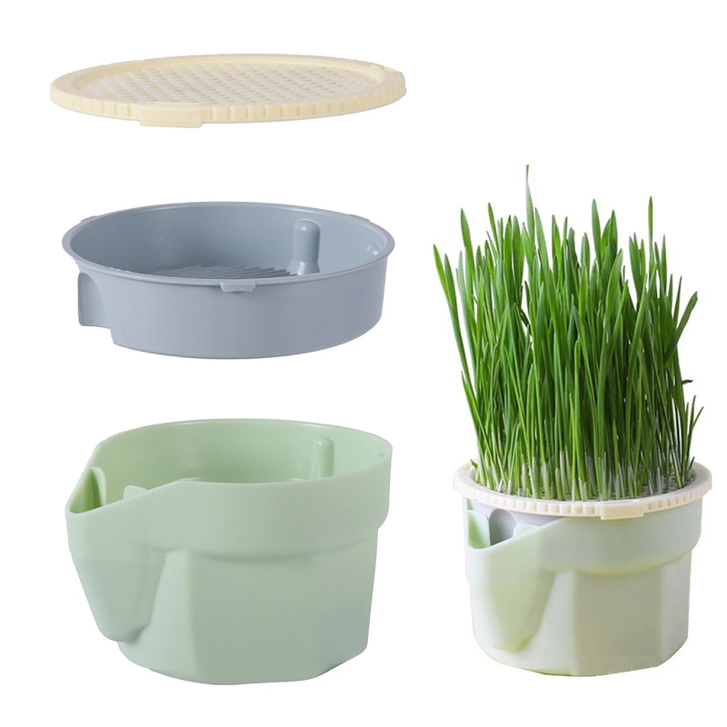 Hydroponic Bean Sprout Pot Cat Grass