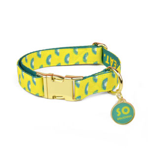 MIDEPET - Correa y Collar Ajustables de Poliéster para Perro, Multifunción, con Liberación Rápida, Set de Entrenamiento para Pasear Mascotas, para el Día de San Valentín - Product Image 6