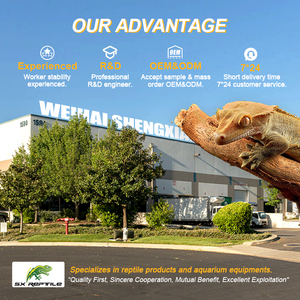 Lampu Spiral <span class=keywords><strong>UVB</strong></span> 13W 26W untuk Reptil, Grosir Pabrik Sumber 2.0 5.0 10.0 <span class=keywords><strong>UVB</strong></span>, Lampu Reptil Terrario 13W 26W untuk Dijual - Product Image 6